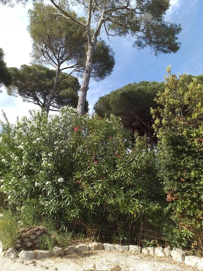 Villa Mediterranea 雷以桑布尔