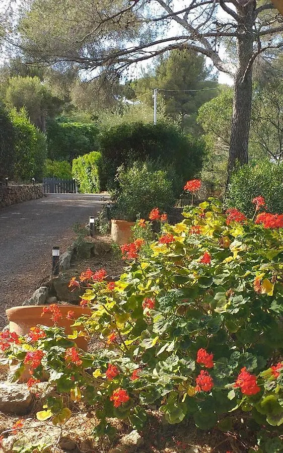 Villa Mediterranea Les Issambres France